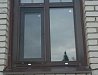 Установка пластиковых ламинированных окон с цветными шпросами